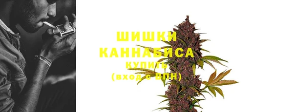 кокс Вяземский