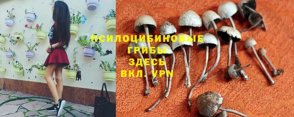 кокс Вяземский