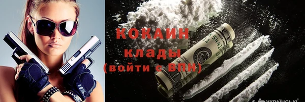 кокс Вяземский